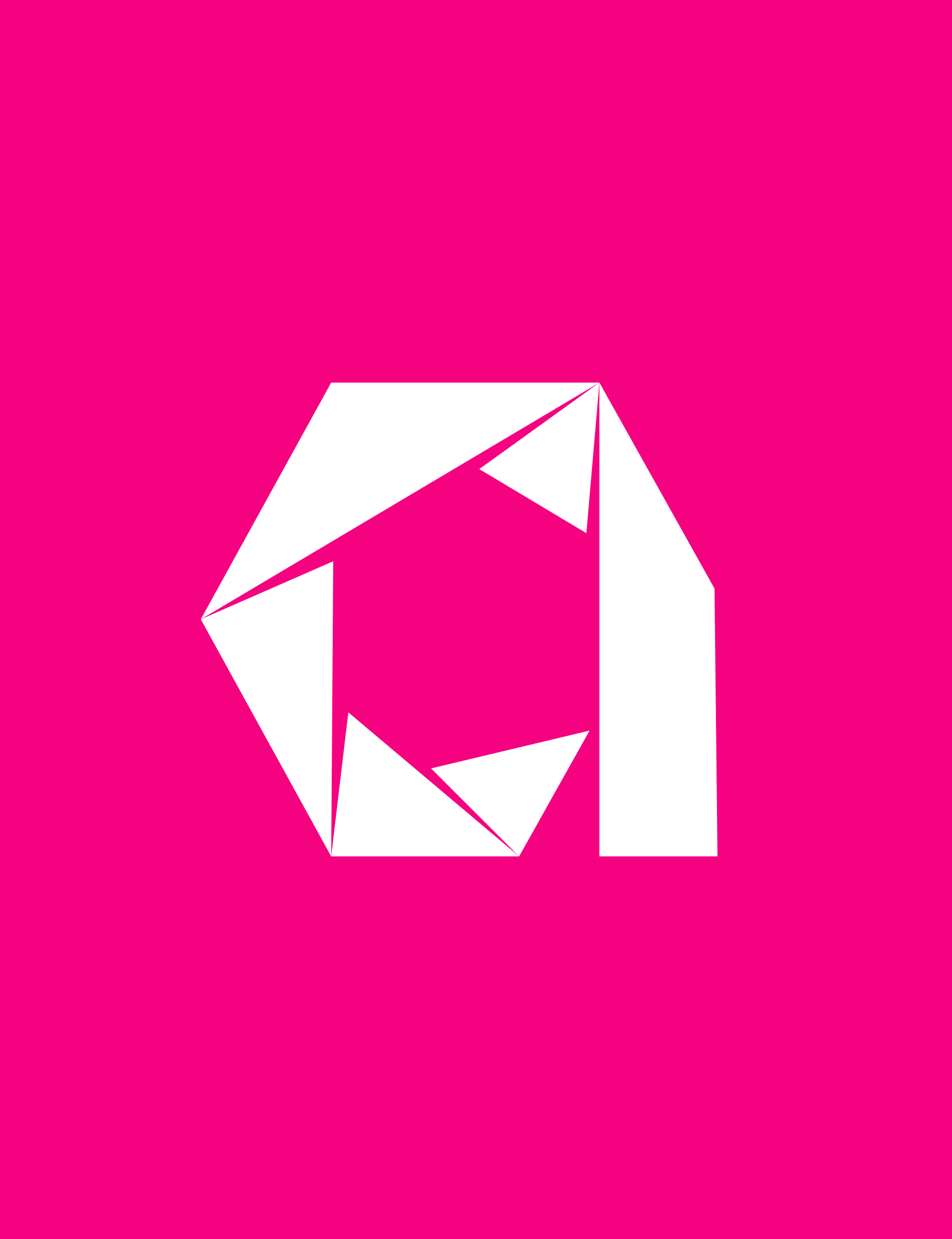 Origami Logo Concept